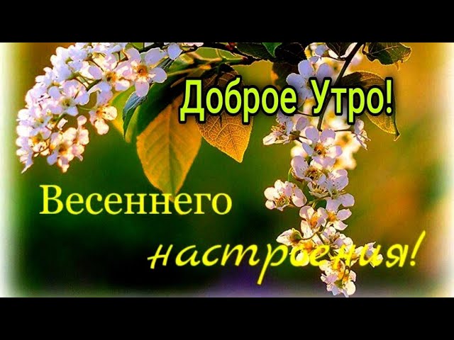 Гифки и Картинки Доброе весеннее утро и