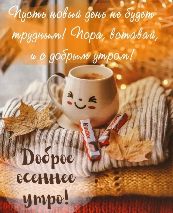 🌺🌿 ЯГОДКИ, ДОБРОЕ УТРО, ОТЛИЧНОГО ДНЯ! 🌿🌺 Доброе утро