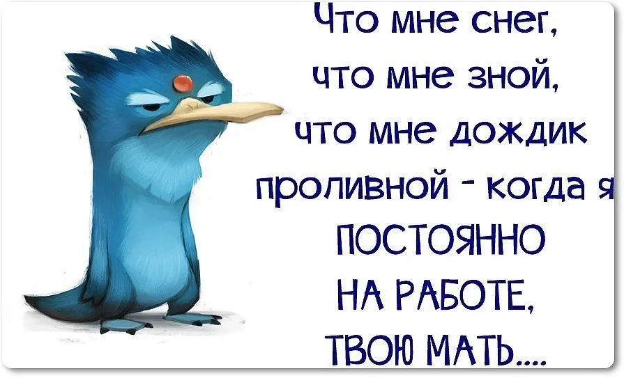 Статусы в картинках про работу — Смейся.ру