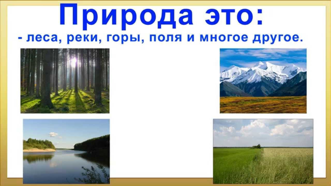 11 хороших книг, которые научат детей заботиться о природе