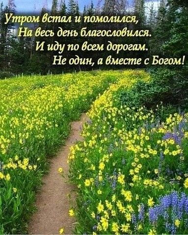 🌸✨🌸 С ДОБРЫМ АПРЕЛЬСКИМ УТРОМ 🌸✨🌸 Доброе утро, проснись