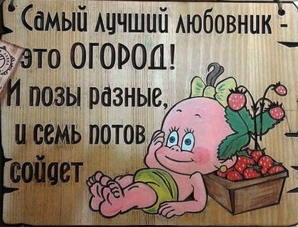 Лучшие мемы про плохое лето