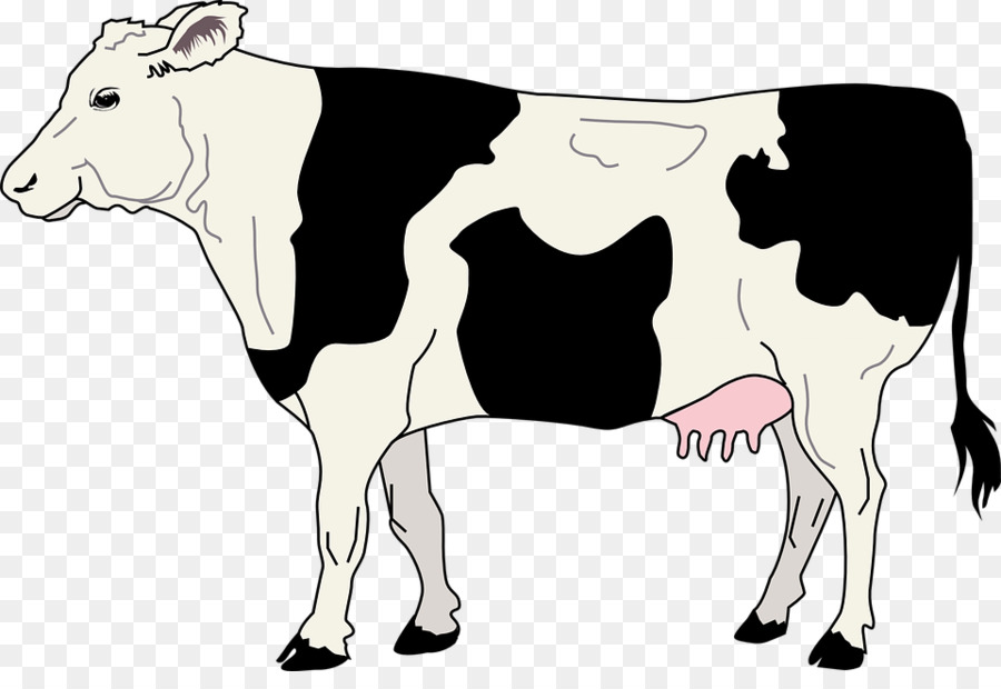 Cute cow. Симпатичная корова. PNG.