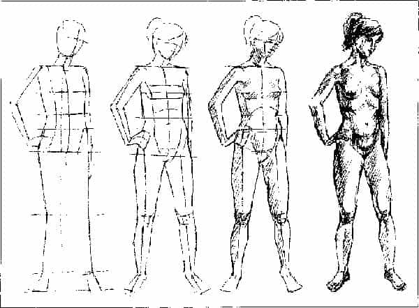 Основы рисования фигуры человека