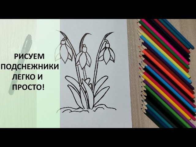 ИЗО «Подснежники», 2 класс. Поэтапное рисование