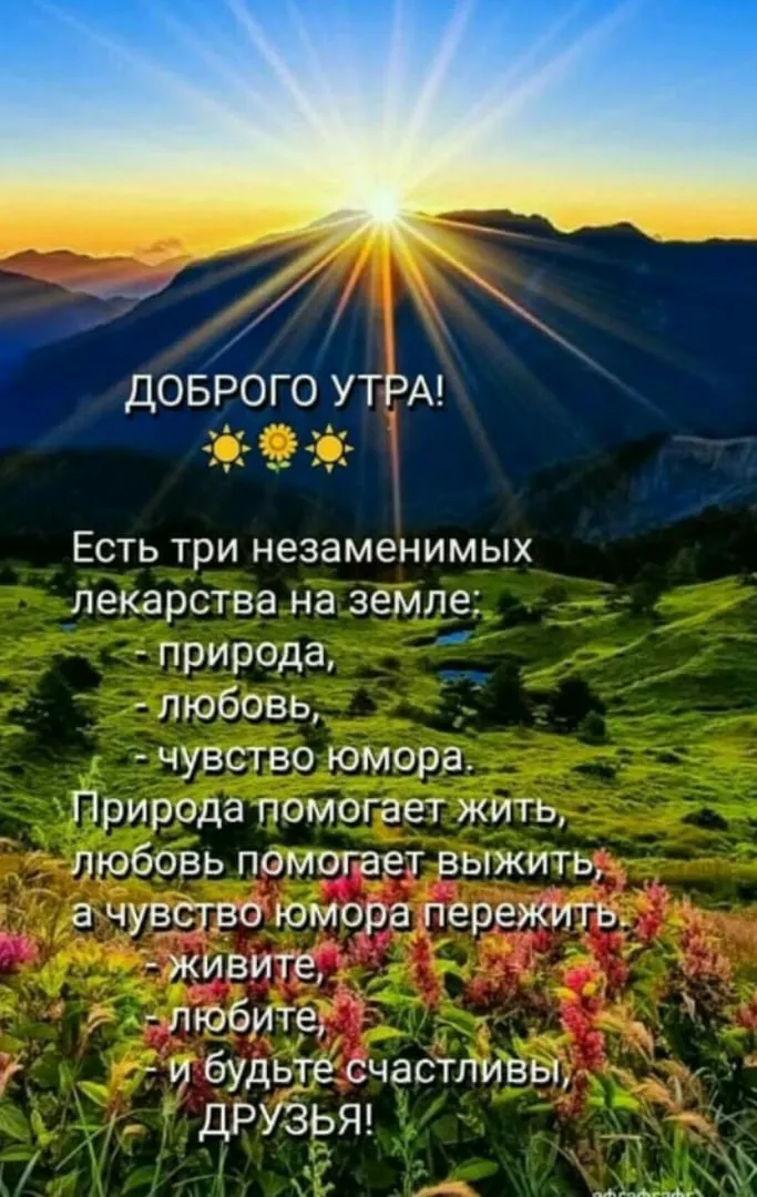 Доброе утро! 🔆🌞 Желаю вам отличного