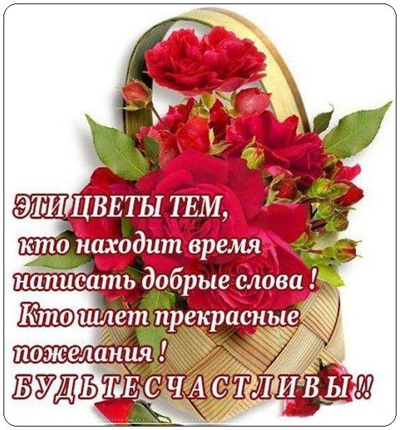 🌻Самые добрые пожелания для тебя!🌻