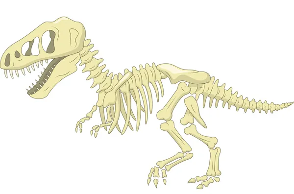 Carcharodontosaurus Mapusaurus