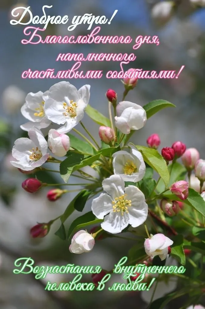 🙏💗 Я молюсь за Вас💓🙏 Пусть Вас хранит Бог!🙏Желаю мира и