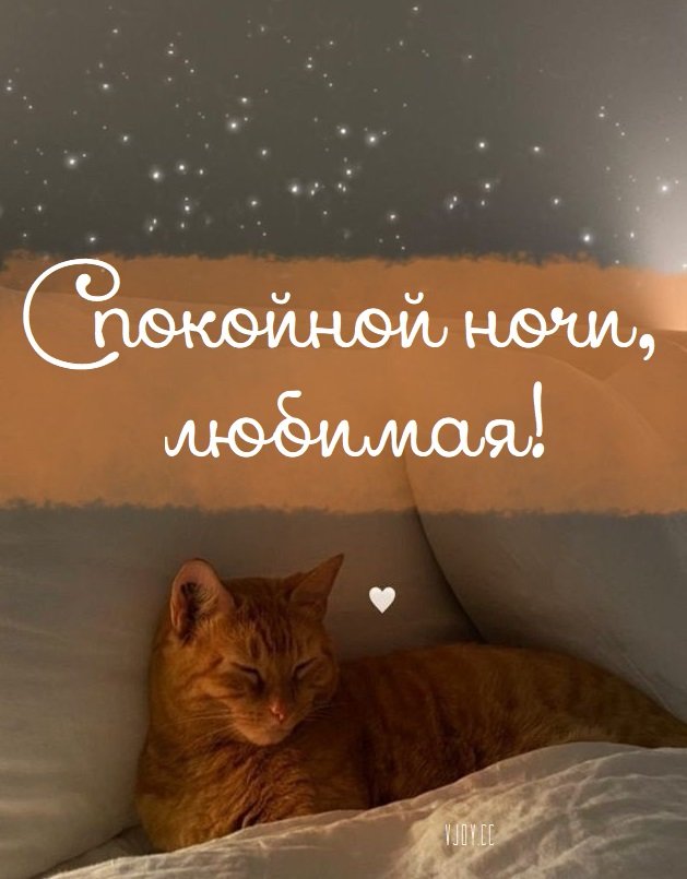 Доброй ночи！🌙🌟🌙 | TikTok