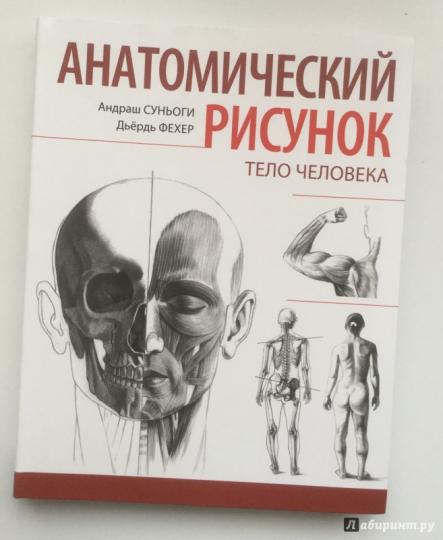 Как нарисовать человека в полный рост