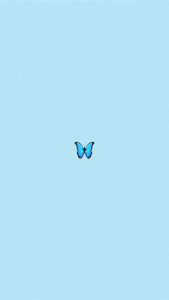 Iphone Aesthetic Butterfly Wallpaper | WallpapersOK