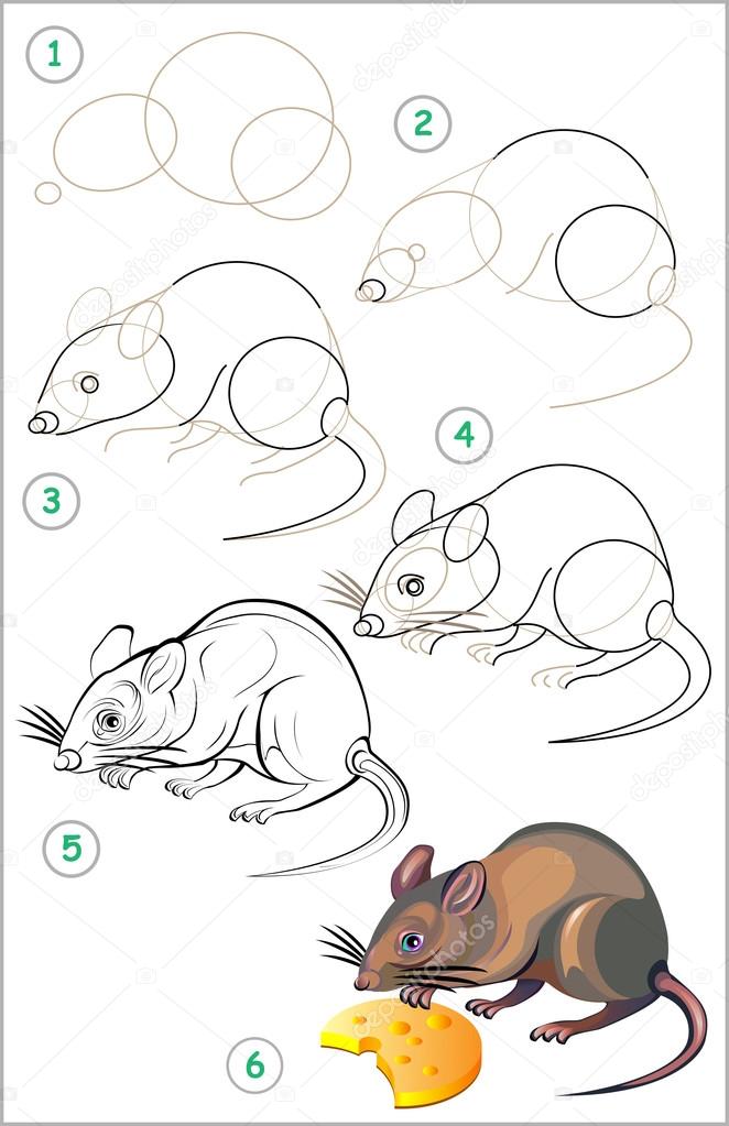 Как нарисовать крысу!!\how to draw a rat easy!!