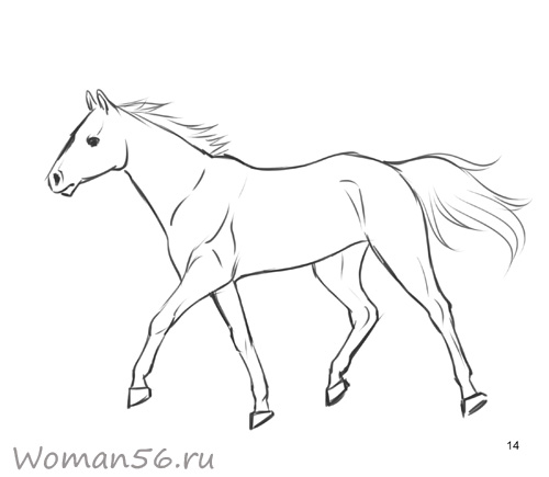 Как нарисовать коня | ❤Lessdraw❤