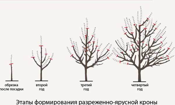 Как сделать игрушку из фетра осеннее дерево своими руками