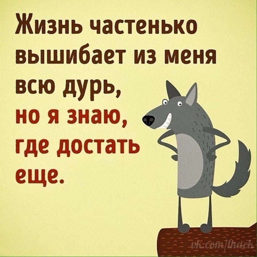 Подушка «Прикольные грибы груздь и мухомор, смешные названия