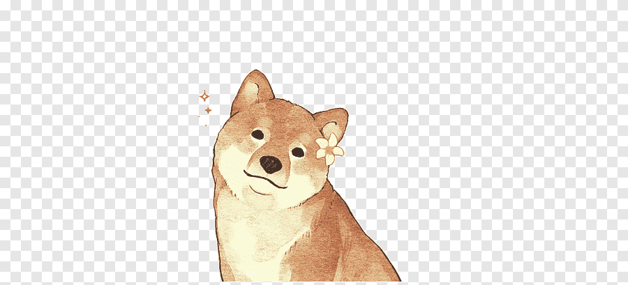 Shiba inu