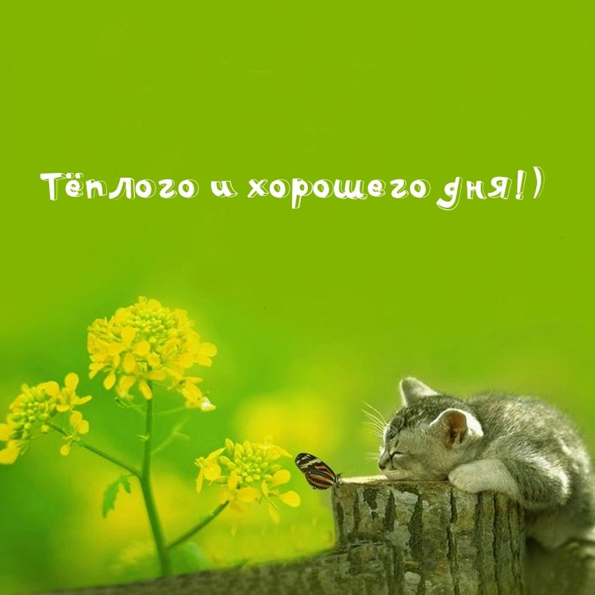 💌☀️😄 Картинки Хорошего дня