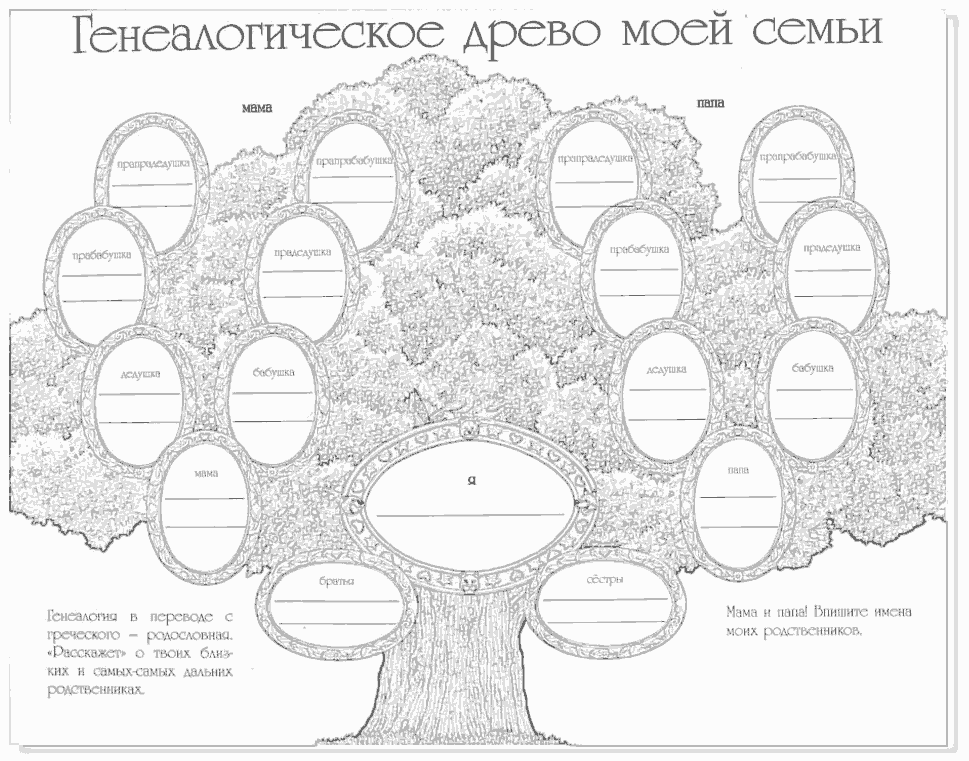 Генеалогическое древо шаблон