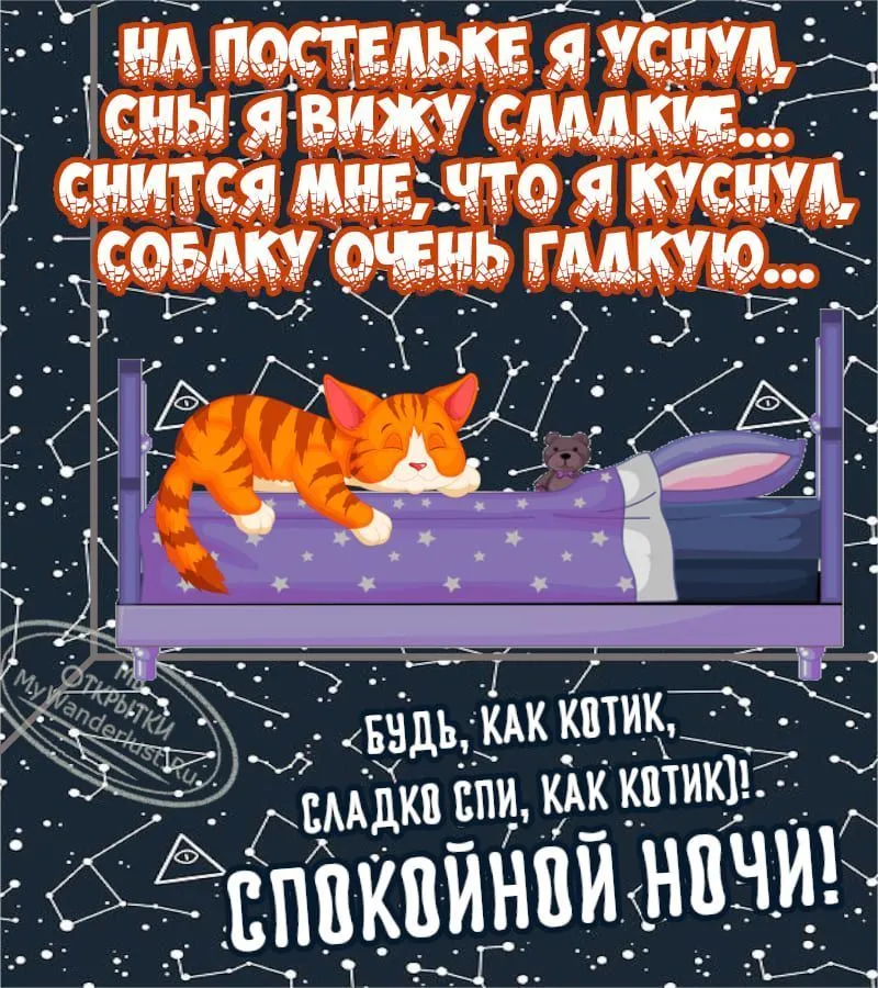 Спокойной ночи с кошками