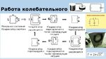 МИНИСТЕРСТВО ОБРАЗОВАНИЯ И НАУКИ