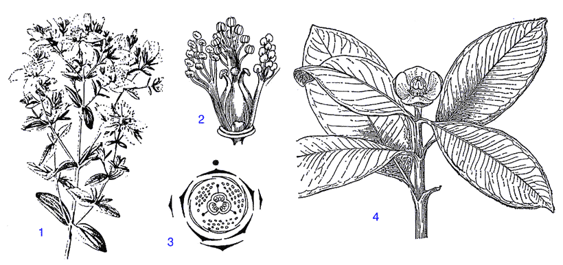 Редкие книги 