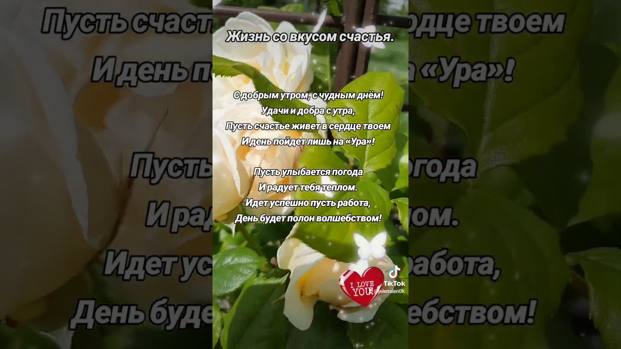 Веселый горшок с цветами