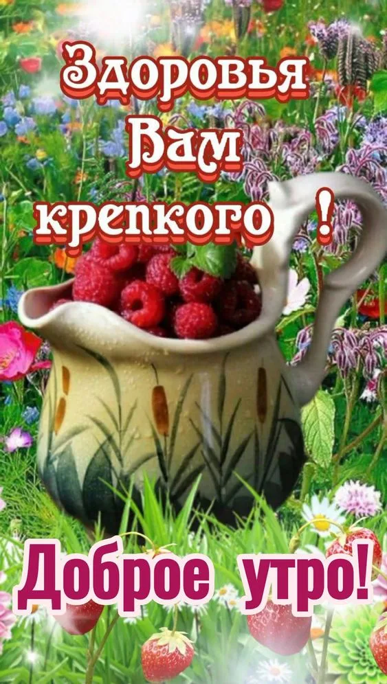 🍃Доброе утро!!! 🍃Позитивного дня!!! Всем крепкого Здоровья