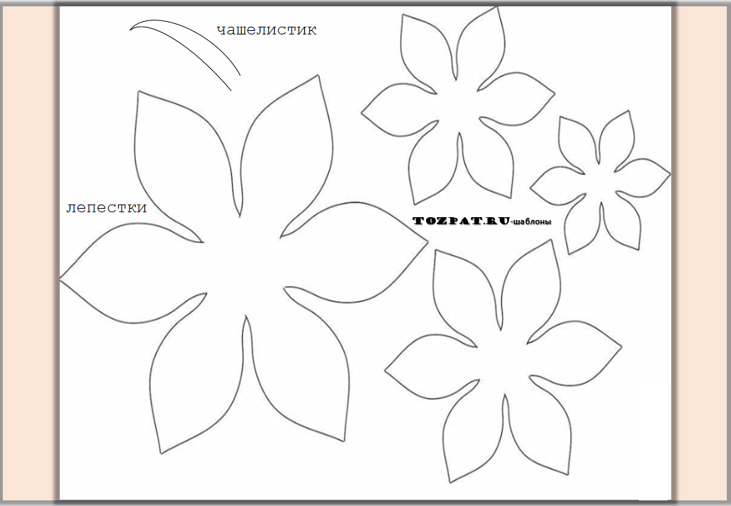 Трафареты цветов