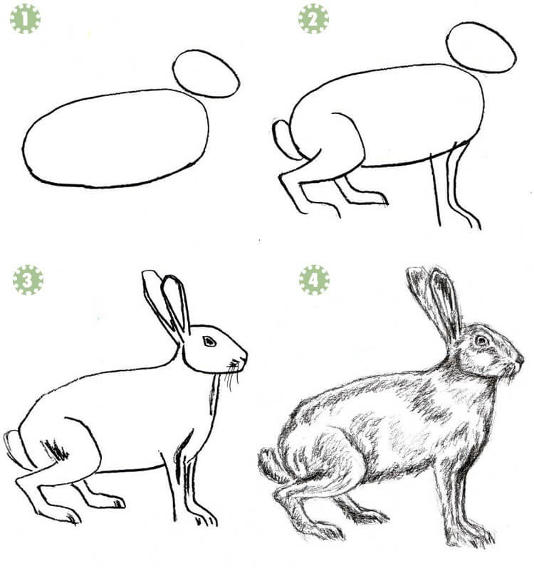 Сурет салу қоян | How to draw a rabbit