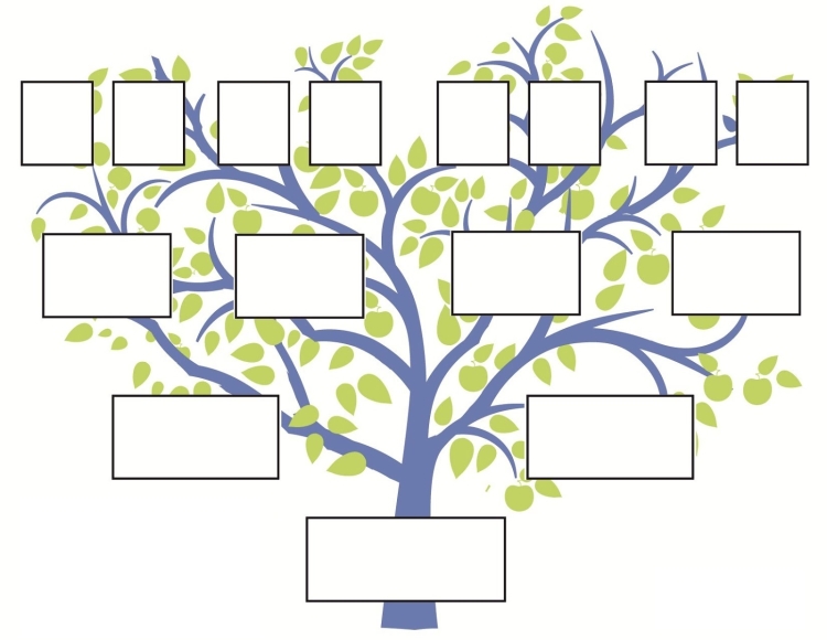 Делаем генеалогическое дерево своей семьи своими руками
