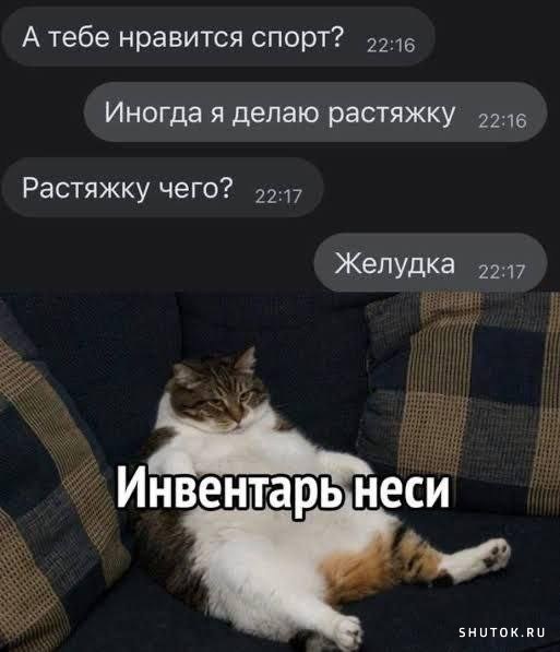 Юмор каждый день