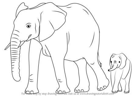 Как нарисовать слона | How to draw an elephant