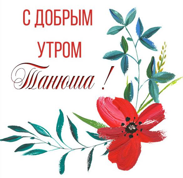 Танечка С Добрым Утром | TikTok