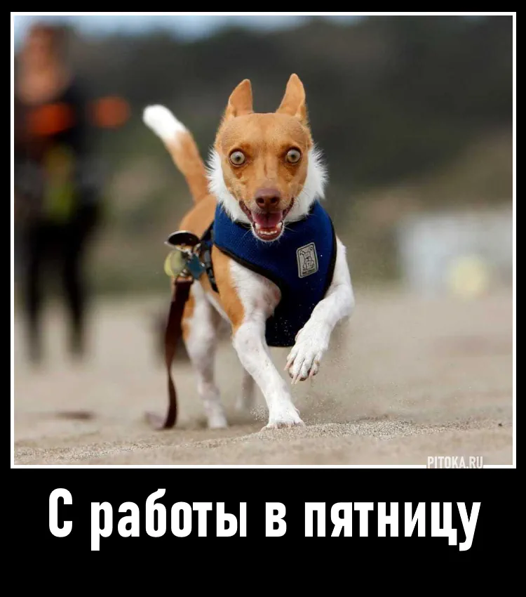 ВЫБ у тебя его нет DEMOTIVATORS.RU / Матрица 