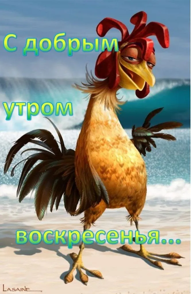 Открытки и картинки «Доброе утро воскресенья!»