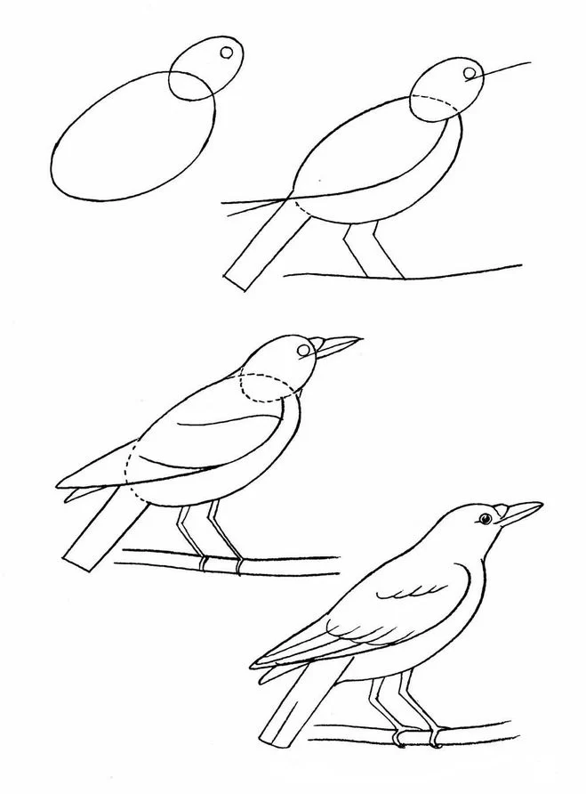 Птица детский рисунок простой 