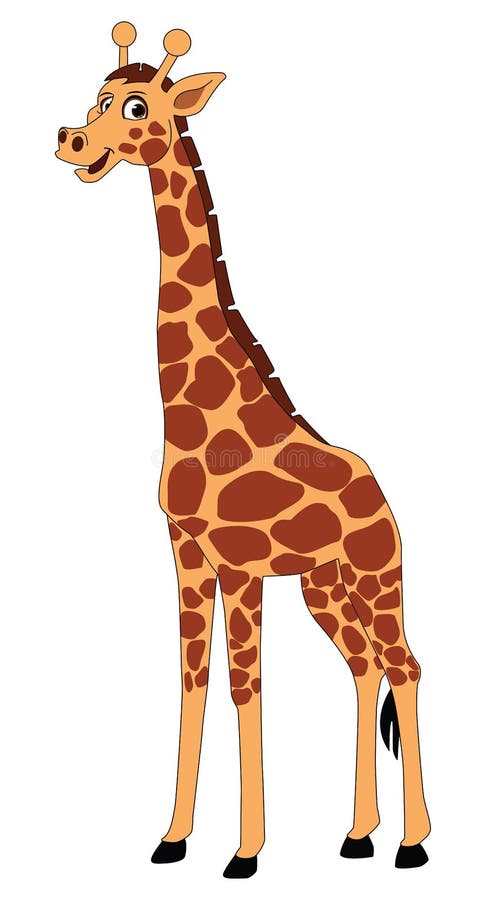 Giraffe on white background Vector