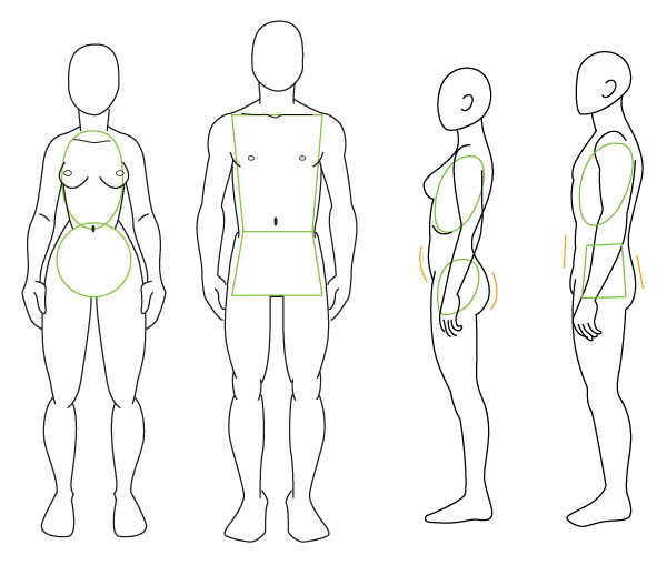 как быстро освоить пропорции человека