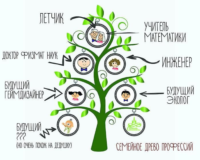 Как правильно нарисовать генеалогическое дерево для ДНК