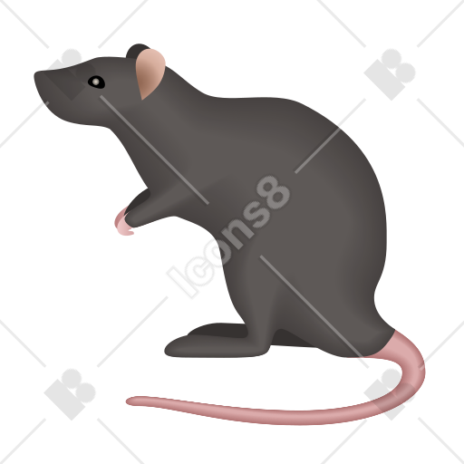 🐀