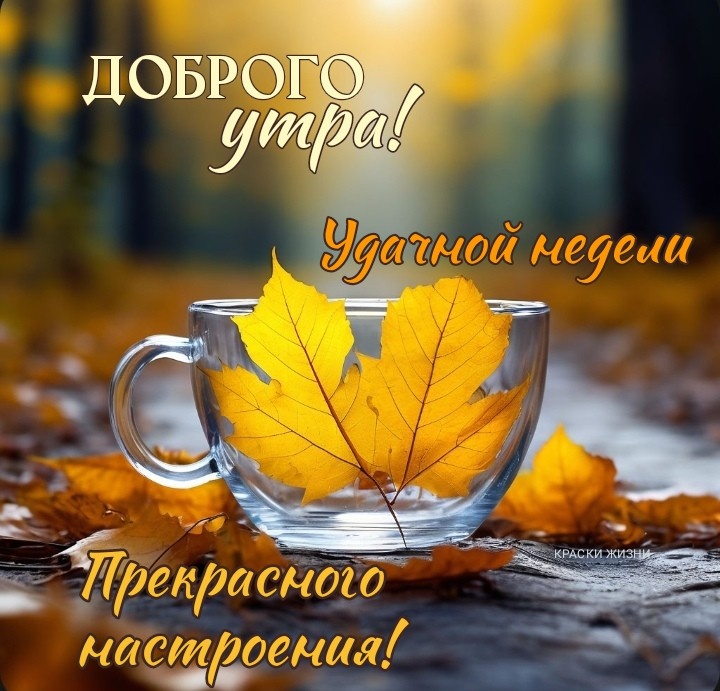 Фото для души 🍃 | ‎🍁🍂 С добрым утром! Новым днём! Тепла