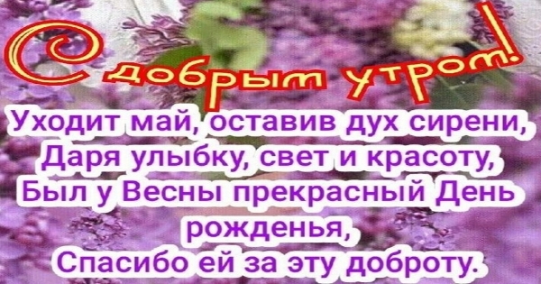 Красивые картинки