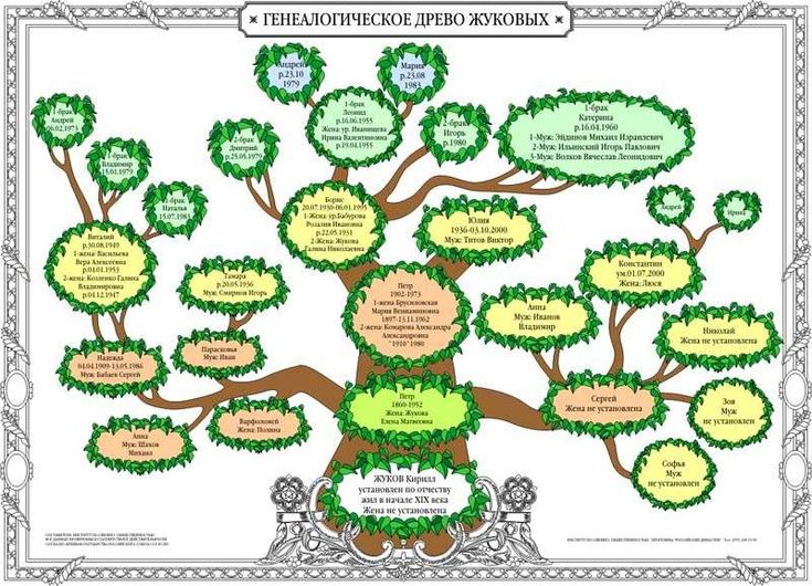 Генеалогическое Дерево Изображения – скачать бесплатно на Freepik