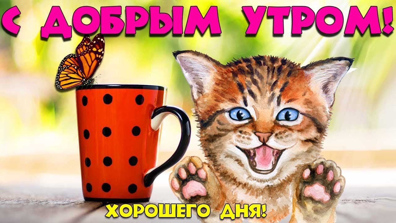 Доброе утро!