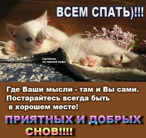 💕💕💕С Добрым Утром!💕💕💕 ПРИВЕТ, вторник! УДАЧНОГО ДНЯ и