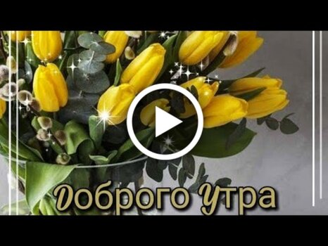 Доброе утро, друзья! 😍 Пусть ваши утренние мечты к вечеру