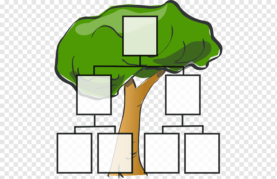 Как составить генеалогическое древо семьи — шаблоны и советы