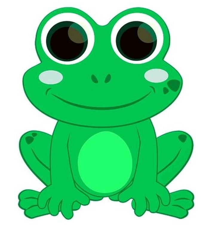 Frog. Лягушка. PNG.