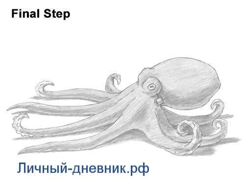 Как нарисовать осьминога в inkscape | enascor.ru